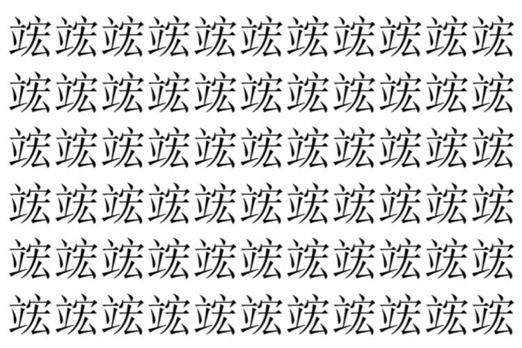 【脳トレ】「竤」の中に紛れて1つ違う文字がある！？あなたは何秒で探し出せるかな？？【違う文字を探せ！】