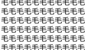 【脳トレ】「毛」の中に紛れて1つ違う文字がある!?あなたは何秒で探し出せるかな??【違う文字を探せ!】