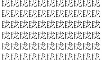 【脳トレ】「眬」の中に紛れて1つ違う文字がある!?あなたは何秒で探し出せるかな??【違う文字を探せ!】