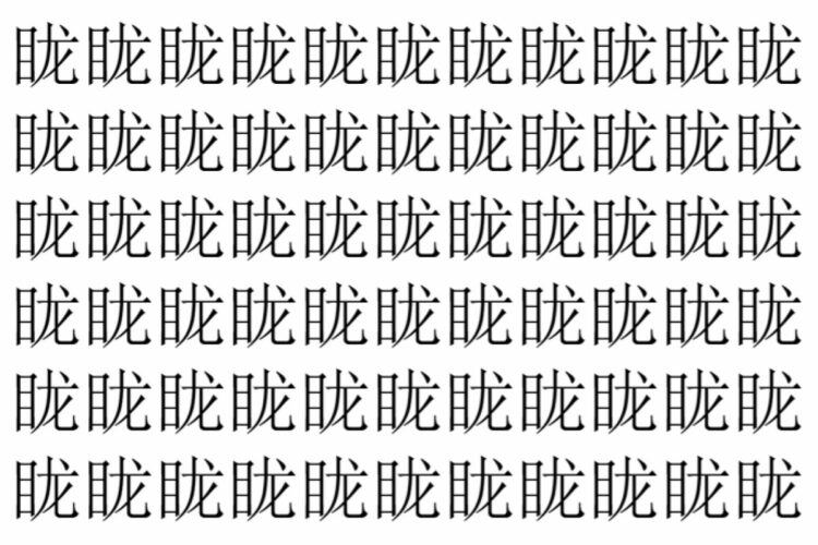 【脳トレ】「眬」の中に紛れて1つ違う文字がある！？あなたは何秒で探し出せるかな？？【違う文字を探せ！】