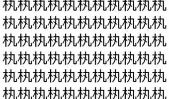 【脳トレ】「𣏒」の中に紛れて1つ違う文字がある！？あなたは何秒で探し出せるかな？？【違う文字を探せ！】
