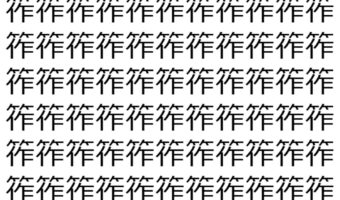 【脳トレ】「筰」の中に紛れて1つ違う文字がある!?あなたは何秒で探し出せるかな??【違う文字を探せ!】