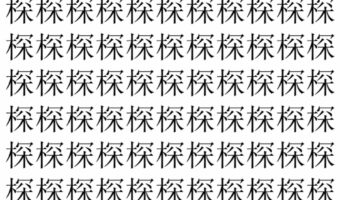 【脳トレ】「棎」の中に紛れて1つ違う文字がある!?あなたは何秒で探し出せるかな??【違う文字を探せ!】