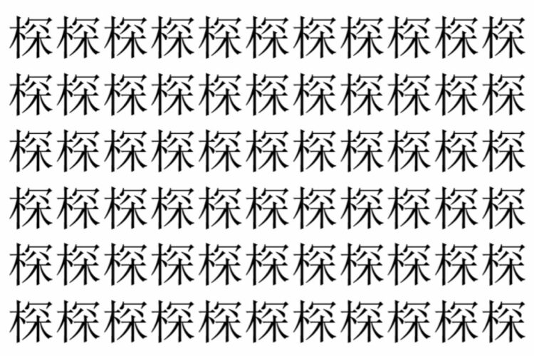 【脳トレ】「棎」の中に紛れて1つ違う文字がある！？あなたは何秒で探し出せるかな？？【違う文字を探せ！】