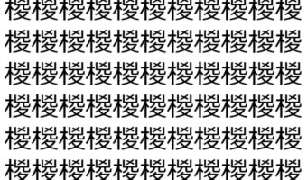 【脳トレ】「椶」の中に紛れて1つ違う文字がある!?あなたは何秒で探し出せるかな??【違う文字を探せ!】