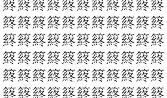 【脳トレ】「䈺」の中に紛れて1つ違う文字がある!?あなたは何秒で探し出せるかな??【違う文字を探せ!】