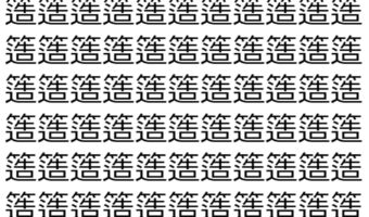 【脳トレ】「簉」の中に紛れて1つ違う文字がある!?あなたは何秒で探し出せるかな??【違う文字を探せ!】