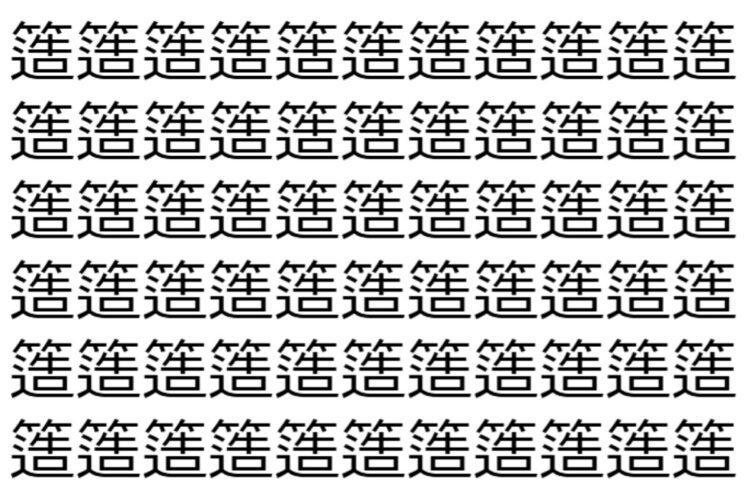【脳トレ】「簉」の中に紛れて1つ違う文字がある！？あなたは何秒で探し出せるかな？？【違う文字を探せ！】