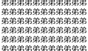 【脳トレ】「弟」の中に紛れて1つ違う文字がある!?あなたは何秒で探し出せるかな??【違う文字を探せ!】