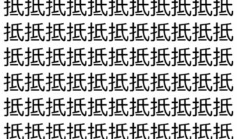 【脳トレ】「抵」の中に紛れて1つ違う文字がある!?あなたは何秒で探し出せるかな??【違う文字を探せ!】