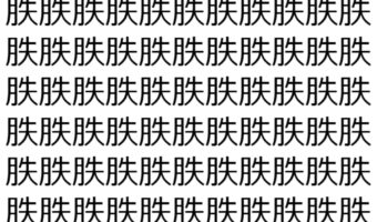 【脳トレ】「胅」の中に紛れて1つ違う文字がある!?あなたは何秒で探し出せるかな??【違う文字を探せ!】