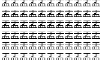 【脳トレ】「盂」の中に紛れて1つ違う文字がある!?あなたは何秒で探し出せるかな??【違う文字を探せ!】