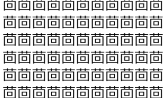 【脳トレ】「茴」の中に紛れて1つ違う文字がある!?あなたは何秒で探し出せるかな??【違う文字を探せ!】
