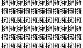 【脳トレ】「擁」の中に紛れて1つ違う文字がある!?あなたは何秒で探し出せるかな??【違う文字を探せ!】