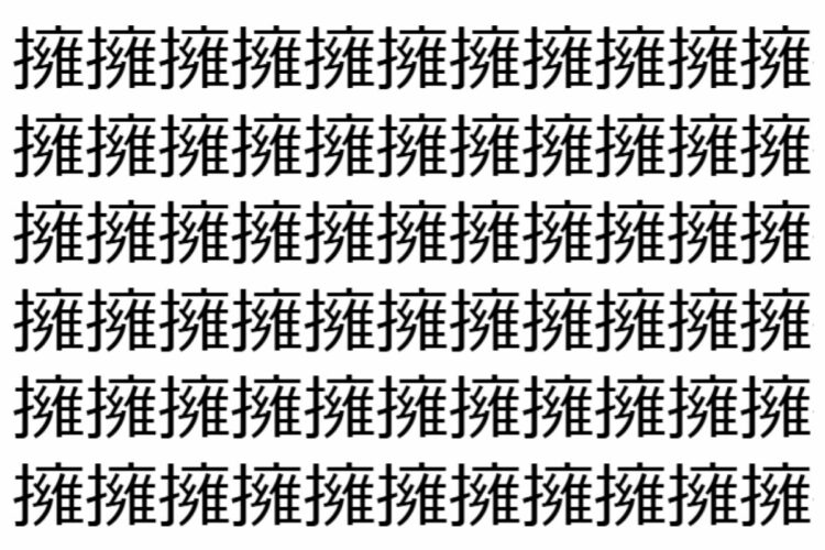 【脳トレ】「擁」の中に紛れて1つ違う文字がある！？あなたは何秒で探し出せるかな？？【違う文字を探せ！】