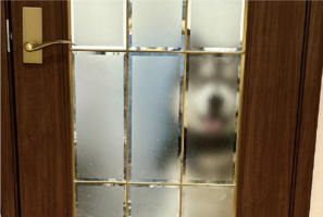 アラスカンマラミュートの出待ち姿がかわいすぎると話題に「ガラス越しの姿がかわいい」「ちょいベロ出してる」