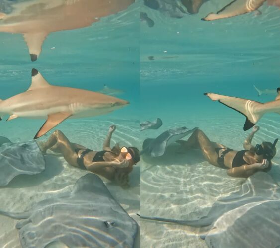 透明度が非常に高いモーレア島の浅瀬の海に潜る女性。その周りを取り囲むように泳いでいるのは、あの危険な海洋生物たち？！【海外・動画】