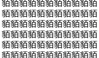 【脳トレ】「貊」の中に紛れて1つ違う文字がある!?あなたは何秒で探し出せるかな??【違う文字を探せ!】