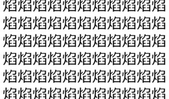 【脳トレ】「焰」の中に紛れて1つ違う文字がある!?あなたは何秒で探し出せるかな??【違う文字を探せ!】