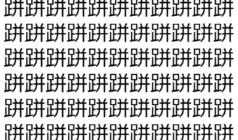 【脳トレ】「跰」の中に紛れて1つ違う文字がある!?あなたは何秒で探し出せるかな??【違う文字を探せ!】