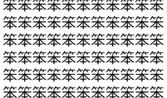 【脳トレ】「笨」の中に紛れて1つ違う文字がある!?あなたは何秒で探し出せるかな??【違う文字を探せ!】
