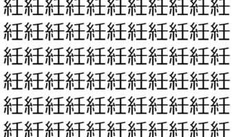 【脳トレ】「紝」の中に紛れて1つ違う文字がある!?あなたは何秒で探し出せるかな??【違う文字を探せ!】