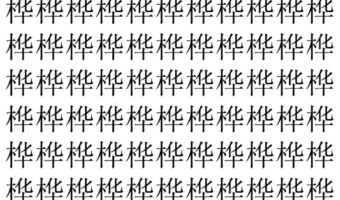 【脳トレ】「桦」の中に紛れて1つ違う文字がある!?あなたは何秒で探し出せるかな??【違う文字を探せ!】
