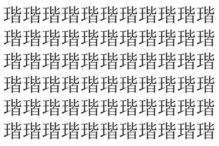 【脳トレ】「瑎」の中に紛れて1つ違う文字がある！？あなたは何秒で探し出せるかな？？【違う文字を探せ！】