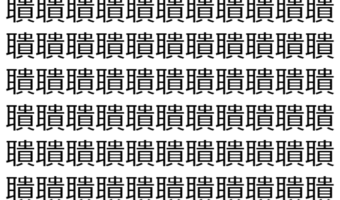 【脳トレ】「聵」の中に紛れて1つ違う文字がある!?あなたは何秒で探し出せるかな??【違う文字を探せ!】