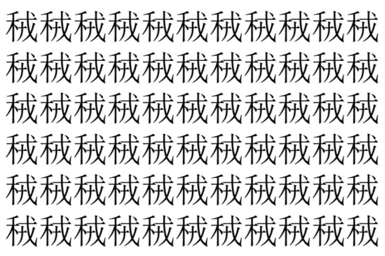 【脳トレ】「䄾」の中に紛れて1つ違う文字がある！？あなたは何秒で探し出せるかな？？【違う文字を探せ！】
