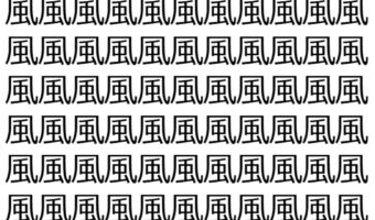 【脳トレ】「風」の中に紛れて1つ違う文字がある!?あなたは何秒で探し出せるかな??【違う文字を探せ!】