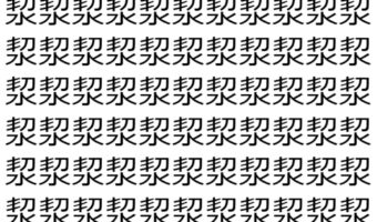 【脳トレ】「洯」の中に紛れて1つ違う文字がある!?あなたは何秒で探し出せるかな??【違う文字を探せ!】