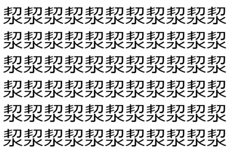 【脳トレ】「洯」の中に紛れて1つ違う文字がある！？あなたは何秒で探し出せるかな？？【違う文字を探せ！】