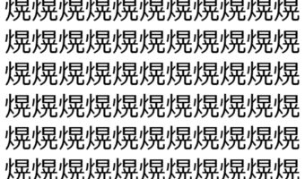 【脳トレ】「熀」の中に紛れて1つ違う文字がある!?あなたは何秒で探し出せるかな??【違う文字を探せ!】