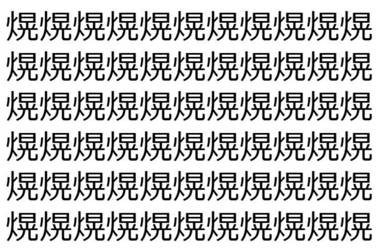 【脳トレ】「熀」の中に紛れて1つ違う文字がある！？あなたは何秒で探し出せるかな？？【違う文字を探せ！】
