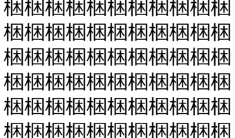【脳トレ】「梱」の中に紛れて1つ違う文字がある!?あなたは何秒で探し出せるかな??【違う文字を探せ!】