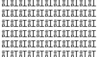 【脳トレ】「訌」の中に紛れて1つ違う文字がある!?あなたは何秒で探し出せるかな??【違う文字を探せ!】