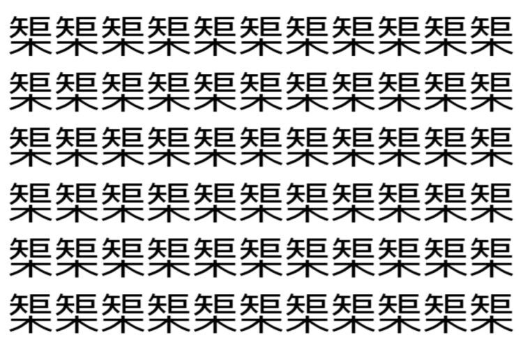 【脳トレ】「榘」の中に紛れて1つ違う文字がある！？あなたは何秒で探し出せるかな？？【違う文字を探せ！】