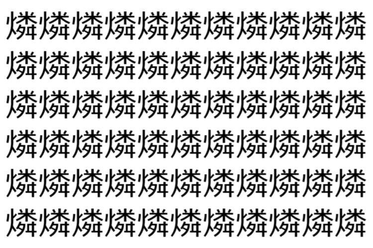 【脳トレ】「燐」の中に紛れて1つ違う文字がある！？あなたは何秒で探し出せるかな？？【違う文字を探せ！】