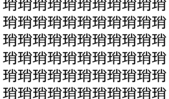 【脳トレ】「琑」の中に紛れて1つ違う文字がある!?あなたは何秒で探し出せるかな??【違う文字を探せ!】
