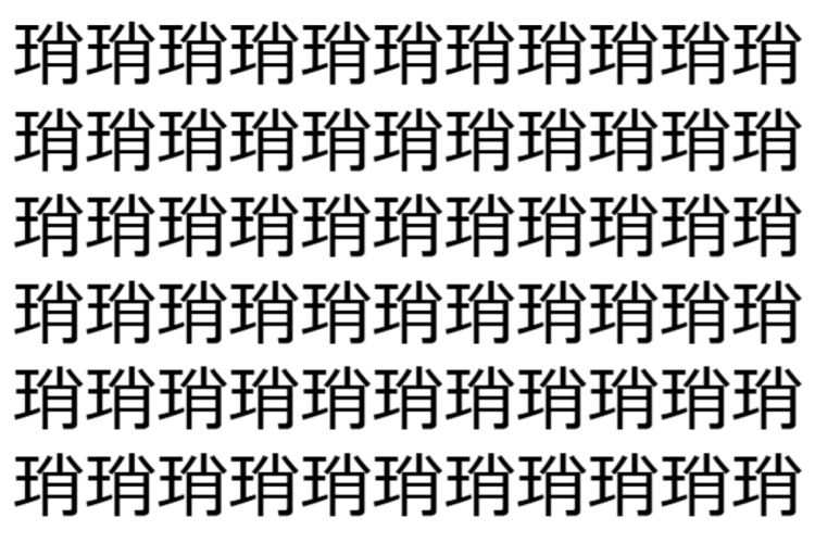 【脳トレ】「琑」の中に紛れて1つ違う文字がある！？あなたは何秒で探し出せるかな？？【違う文字を探せ！】
