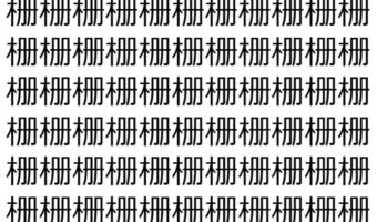 【脳トレ】「栅」の中に紛れて1つ違う文字がある！？あなたは何秒で探し出せるかな？？【違う文字を探せ！】
