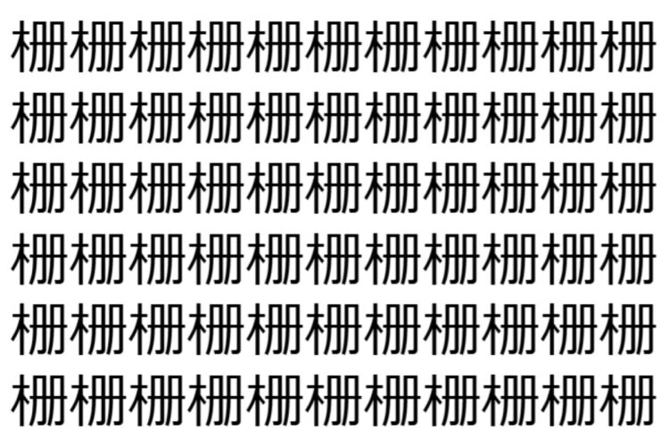 【脳トレ】「栅」の中に紛れて1つ違う文字がある！？あなたは何秒で探し出せるかな？？【違う文字を探せ！】