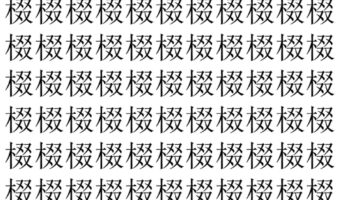 【脳トレ】「棳」の中に紛れて1つ違う文字がある!?あなたは何秒で探し出せるかな??【違う文字を探せ!】