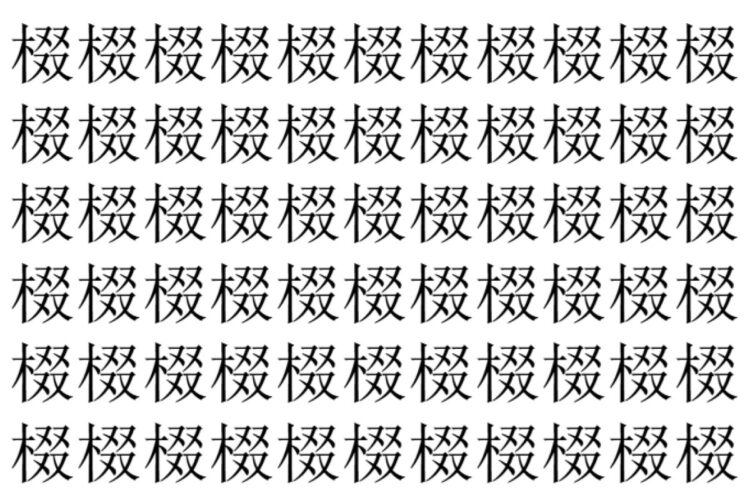 【脳トレ】「棳」の中に紛れて1つ違う文字がある！？あなたは何秒で探し出せるかな？？【違う文字を探せ！】