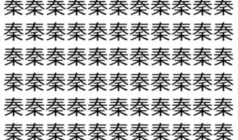 【脳トレ】「秦」の中に紛れて1つ違う文字がある！？あなたは何秒で探し出せるかな？？【違う文字を探せ！】