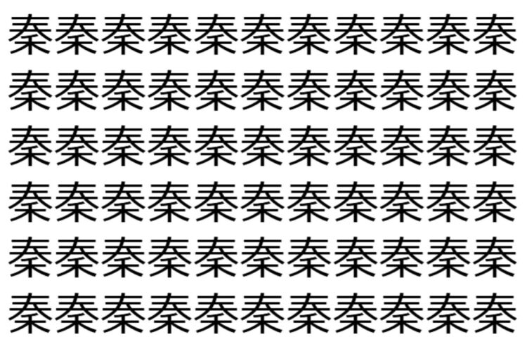 【脳トレ】「秦」の中に紛れて1つ違う文字がある！？あなたは何秒で探し出せるかな？？【違う文字を探せ！】