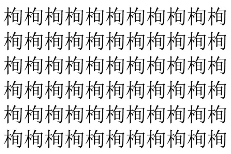 【脳トレ】「栒」の中に紛れて1つ違う文字がある！？あなたは何秒で探し出せるかな？？【違う文字を探せ！】