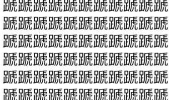 【脳トレ】「蹏」の中に紛れて1つ違う文字がある!?あなたは何秒で探し出せるかな??【違う文字を探せ!】