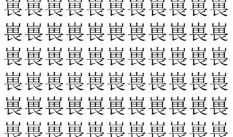 【脳トレ】「嵔」の中に紛れて1つ違う文字がある!?あなたは何秒で探し出せるかな??【違う文字を探せ!】